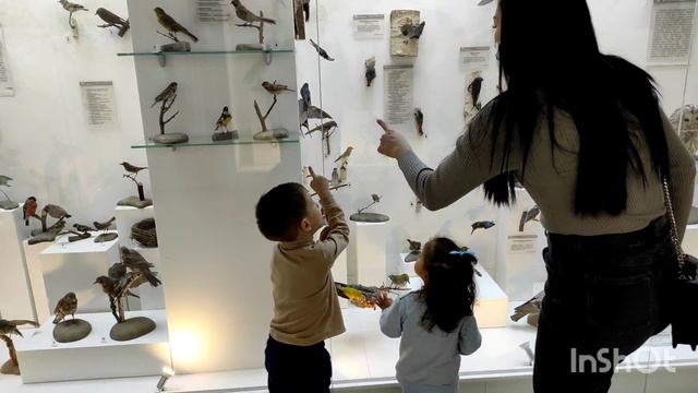 23.02.2022 Посетили Музей Природы Новосибирска (на Вокзальной магистрали, 11) смотреть онлайн