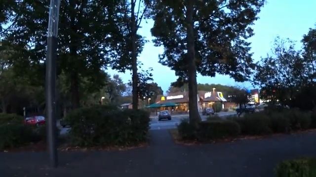 в германии без друзей.сняла маску и нарушила масочный режим.объехали пол Германии за день #германия смотреть онлайн