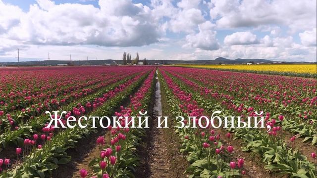 Выздоравливай стих любимой жене читает : Karcher Waldemar смотреть онлайн