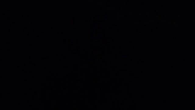 Сборка модели корабля черная жемчужина. Мини обзор светильника на чёрной жемчужине смотреть онлайн