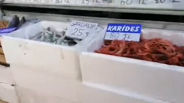Ташуджу. Февраль. Прогулки покупки