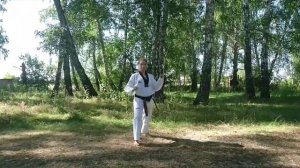 Пхумсе 5  Тхэквондо