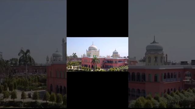 switchvation Muslims @muslimglobalthought #muslimidentity #islam #khilafat #allah #muslim смотреть онлайн