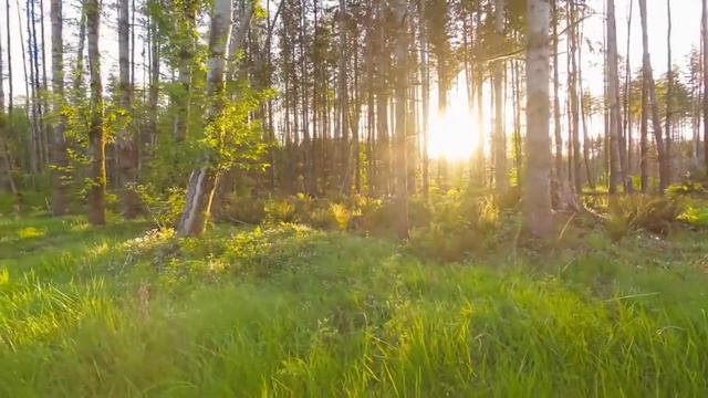 красивая природа, мелодии для отдыха смотреть онлайн