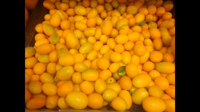 Кумкват Польза и вред Как едят кумкват