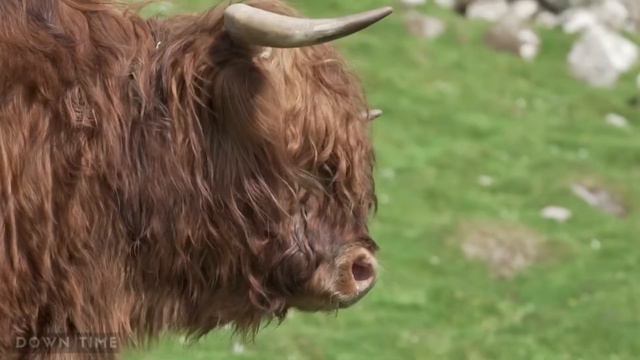 Lake Above The Ocean | FAROE ISLANDS - Denmark смотреть онлайн