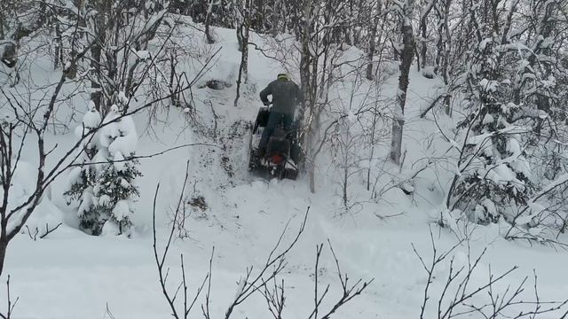 Вижас.В Новом году-Буран не берегу. смотреть онлайн