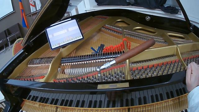 Grand Piano "Estonia" Part 3 - tuning with the Pianoscope смотреть онлайн