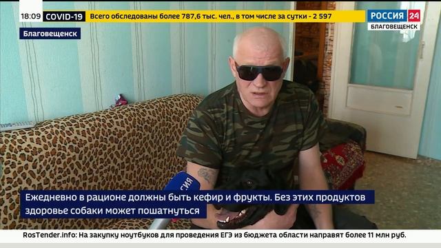 Расходы на собак-поводырей теперь компенсируют из областного бюджета смотреть онлайн