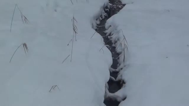 Разговор с Богом смотреть онлайн