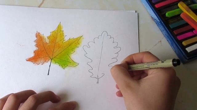 КАК НАРИСОВАТЬ ОСЕНЬ / КЛЕНОВЫЙ ЛИСТ, ДУБОВЫЙ, БЕРЕЗОВЫЙ / УРОК смотреть онлайн