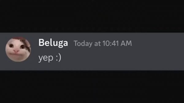 @TXPStudio ⚡24/7 Сборник Белуги круглосуточно | Сборники Белуги | Белуга на Русском