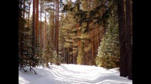 Бумер. Дальний восток.