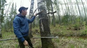 КАК ПОСТРОИТЬ ДВУХ ЭТАЖНЫЙ ШАЛАШ НА  ДЕРЕВЕ