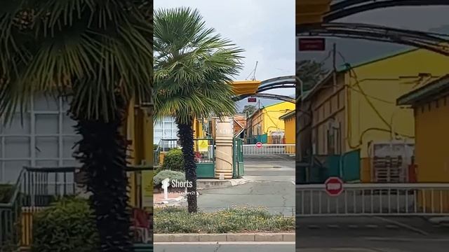 Кипр, Лимасол, завод соков, сок, пальмы