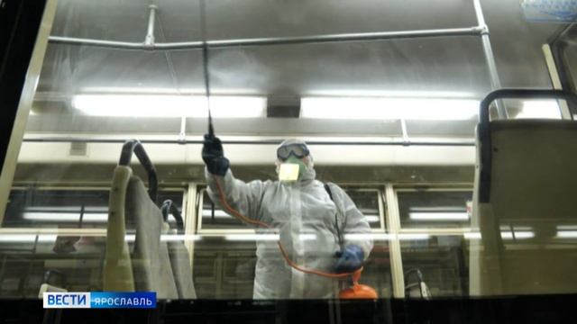 Общественный транспорт Ярославля проходит регулярную обработку смотреть онлайн