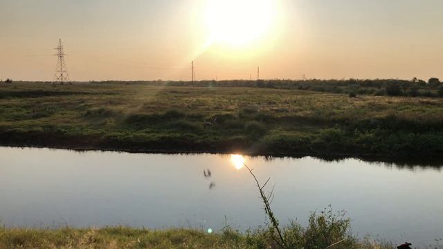 Ястреб тетеревятник не пошёл на цаплю смотреть онлайн
