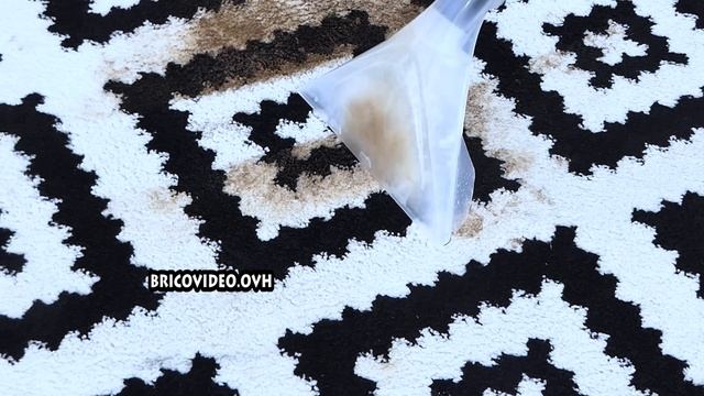PARKSIDE Aspirateur Injecteur Extracteur LIDL PWS 20 C2 Carpet Cleaner (type KARCHER Kärcher SE4001