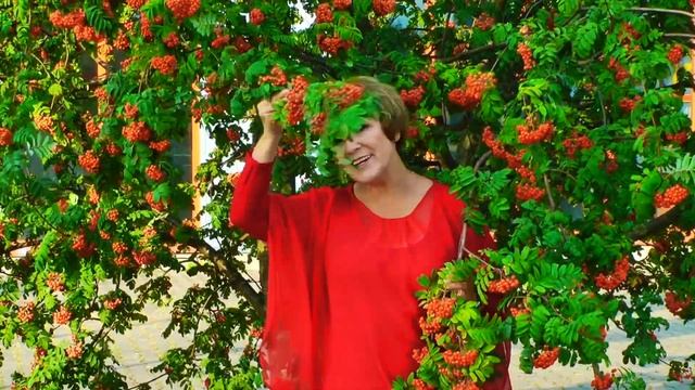 Tina Wedel: "Зимняя рябина" - С Новым годом, мои ДОРОГИЕ! Подарок для Вас.... смотреть онлайн