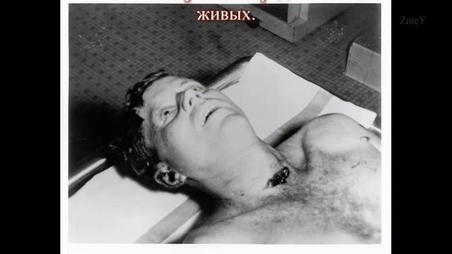 нейронная сеть смотреть онлайн