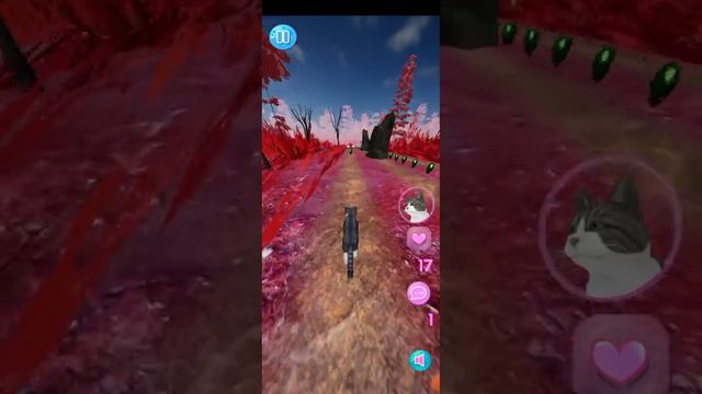 играю в кошку софу и учу Тикси играть! смотреть онлайн