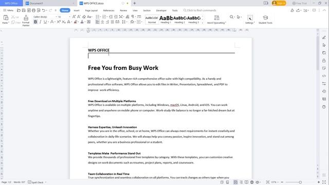 WPS Office Word How To Insert Horizontal Line смотреть онлайн