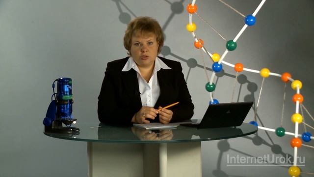 Скелет конечностей. Видеоурок по биологии 8 класс смотреть онлайн