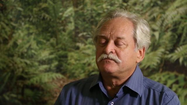 Patrice Levang - Palms of controversies: Oil palm and development challenges смотреть онлайн