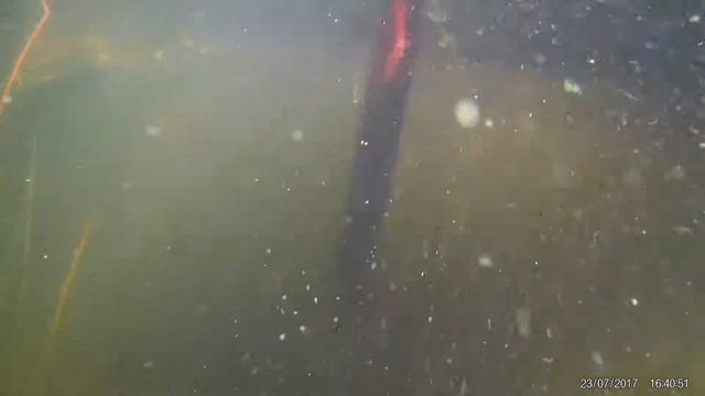 деревенское озеро (под водой) смотреть онлайн