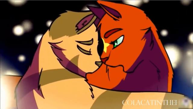 Коты воители - Я не боюсь смотреть онлайн