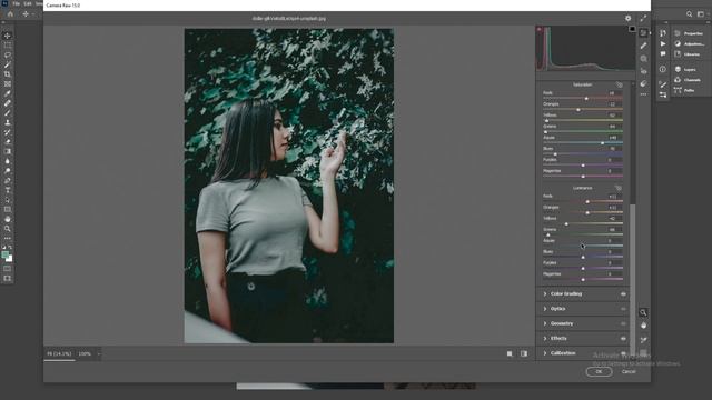 Green Preset | Camera Raw Free Presets Download | Lightroom Preset | Adobe Photoshop Color Grading