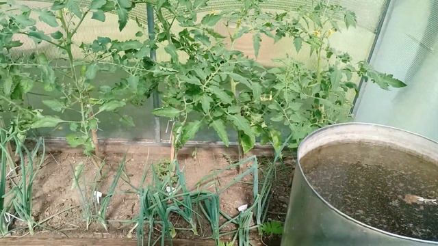 19 июня теплица и т д смотреть онлайн