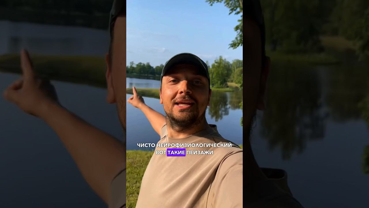 Почему пейзажи красивые? #мозг #эстетика #всеобовсем #галилео #нейрофизиология смотреть онлайн