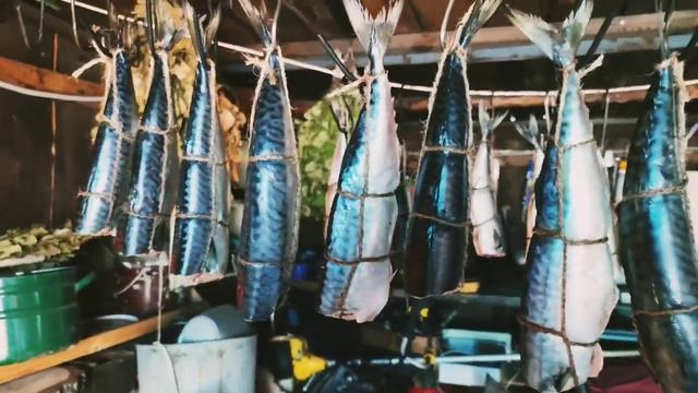 Обалденные копчëные курочки, скумбрия и камбала холодного копчения Пробная партия в коптильне смотреть онлайн