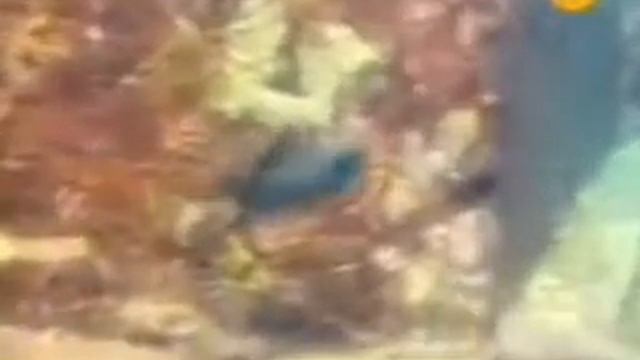 Найден гигантский подводный город! Интересное, страшное и невероятное видео, явление смотреть онлайн