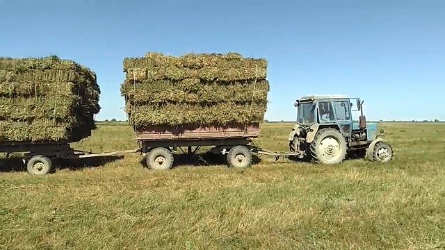 Мтз на перевозке сена смотреть онлайн