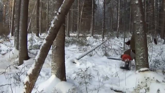 заготовка леса - обпил 4-х деревьев за раз смотреть онлайн