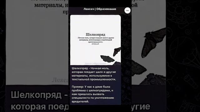 Что такое Шелкопряд ? БОЛЬШЕ СЛОВ В ТГ @lekksach смотреть онлайн