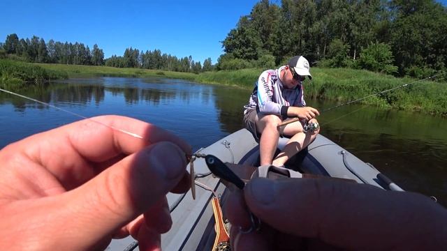 БЕЛЫЙ ХИЩНИК В ИЮНЕ! ГОЛАВЛЬ,ЖЕРЕХ! ЖАРА +30 смотреть онлайн