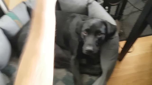 Finishing the GREATEST ENGINEERING project in The Wandering Village! смотреть онлайн