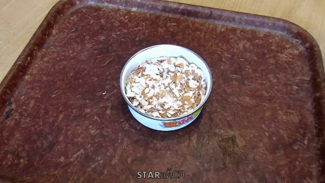 Эксибишен, подкормка из яичной скорлупы..... смотреть онлайн