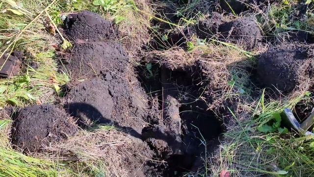 Металлокоп продвигается металл подрос в цене смотреть онлайн