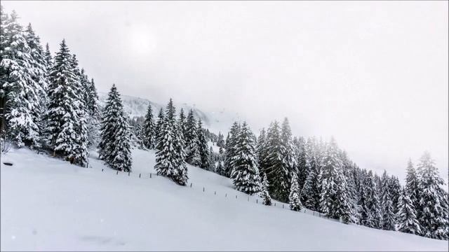 Зимний лес.  Звуки падающего снега.