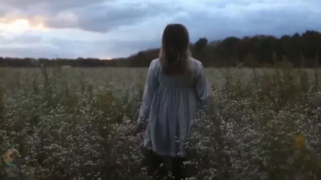 Gladiator · 1 Hora De Música Para Relax | Dormir | Estudiar ?