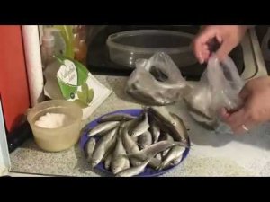 СОЛЁНАЯ «УКЛЕЙКА«ЗА 24 ЧАСА.Самый быстрый и простой способ засолки
