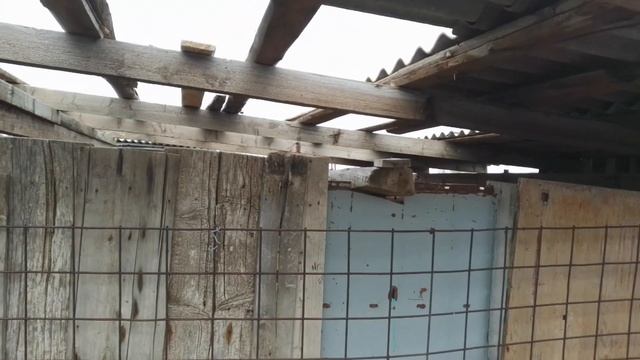 КРОВЛЯ НА БУДУЩИЙ САРАЙ ИЗ ШИФЕРА. СКОЛЬКО ВЕСИТ ДРОБЛЕНКА ПОСЛЕ ЗАПАРИВАНИЯ смотреть онлайн