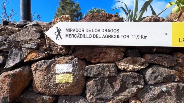 🇮🇨LA PALMA🇮🇨 Виноградники, деревни и драконовы деревья смотреть онлайн