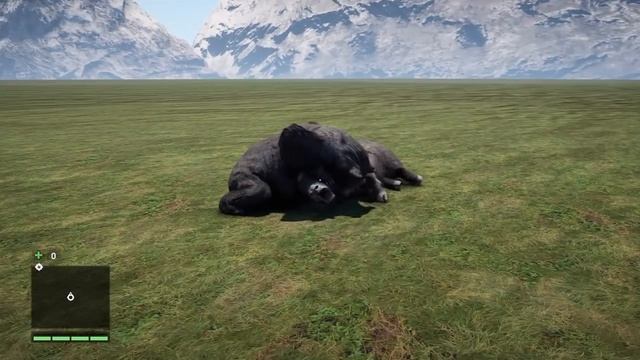 Far Cry 4-Wild Animals Hunt Animation смотреть онлайн