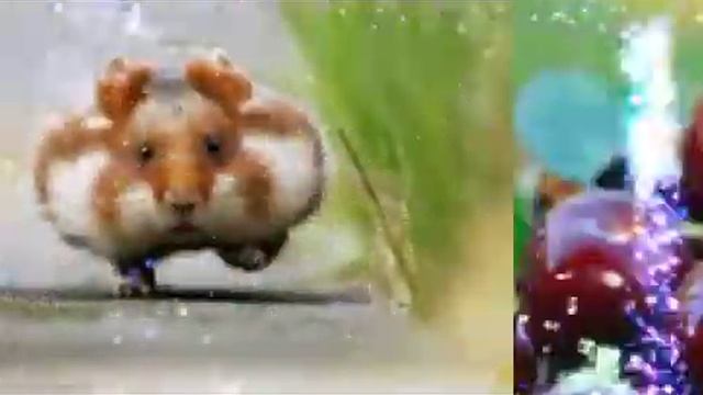 Милые фотки. смотреть онлайн