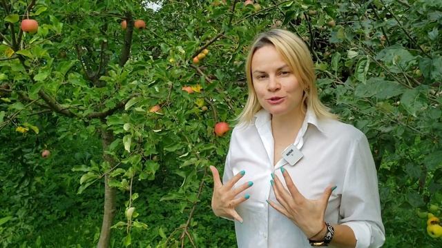 Деньги и Состояние Радости. Три Состояния Удовольствия, Способствующие Росту Ваших Доходов. смотреть онлайн